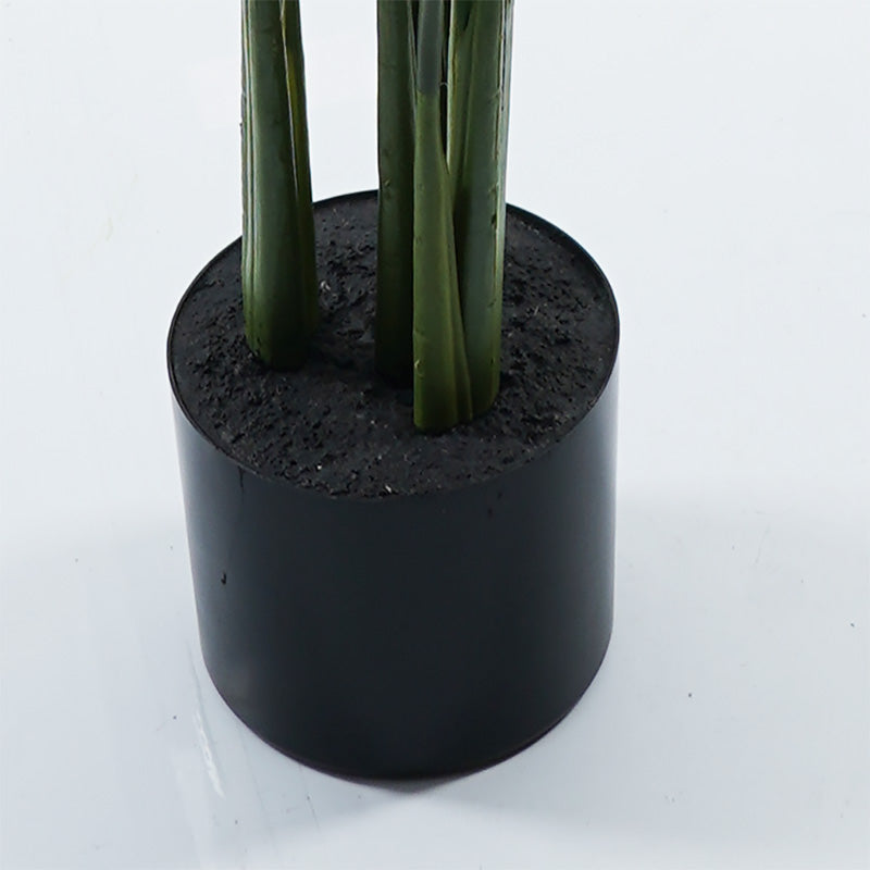 Διακοσμητικό φυτό σε γλάστρα Calathea Inart πράσινο Φ68x120εκ